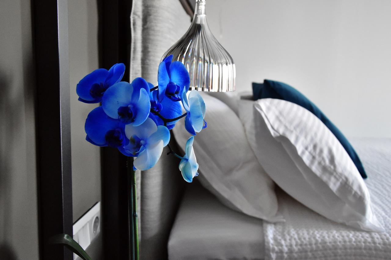 Alexander Inn Ставрос Екстериор снимка